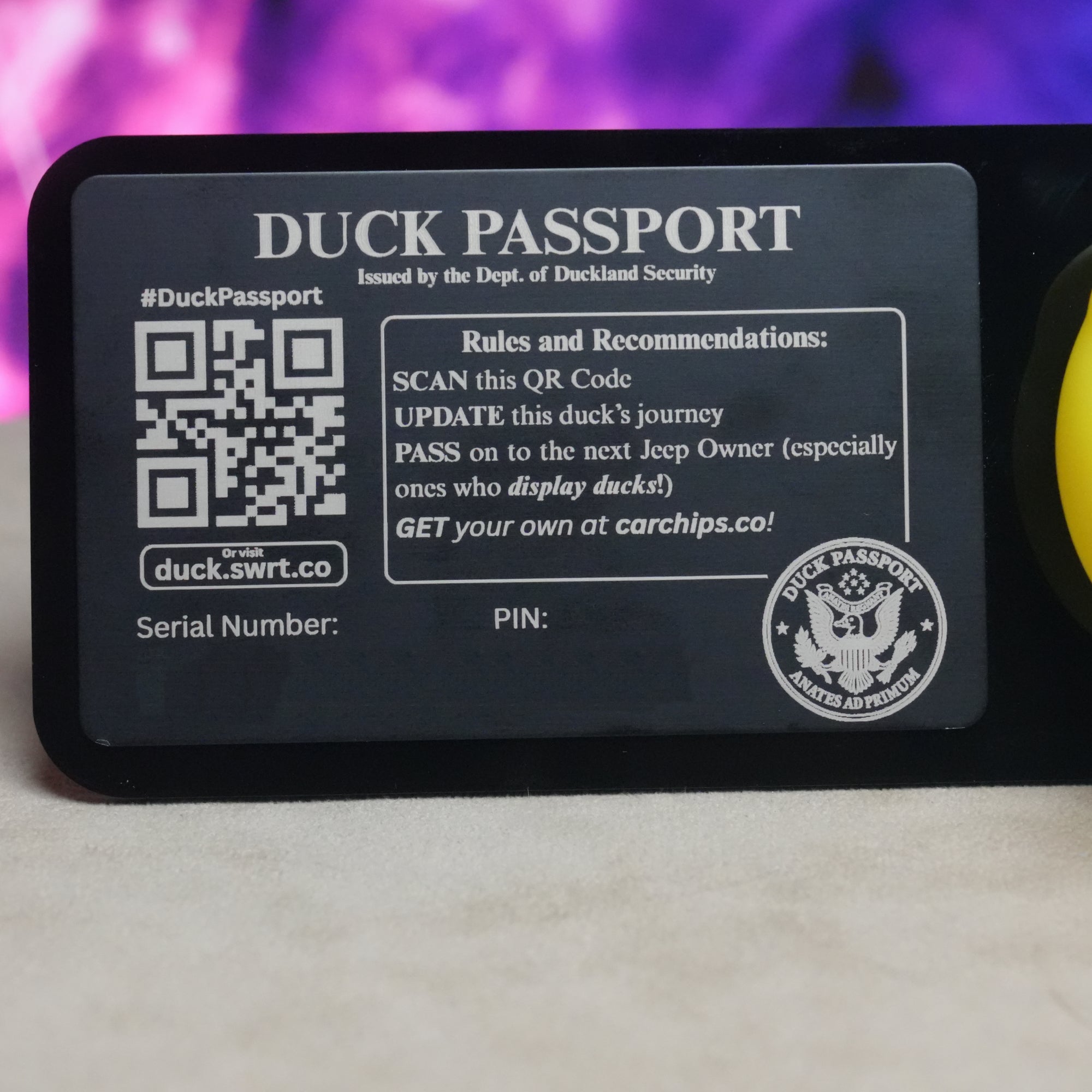 Duck Passport Kit - Set of Three