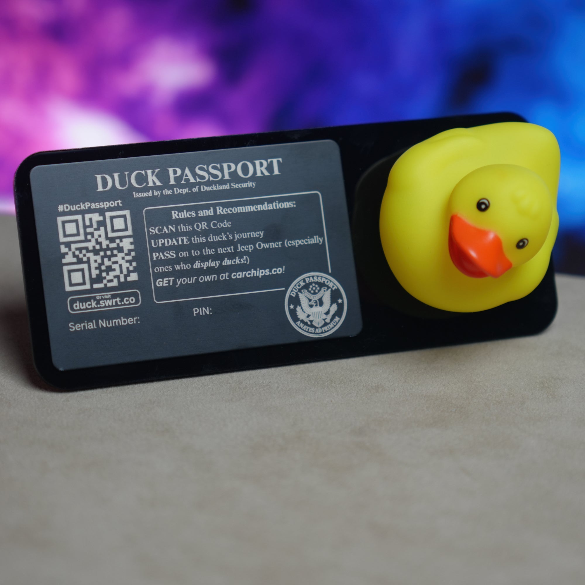 Duck Passport Kit - Set of Three